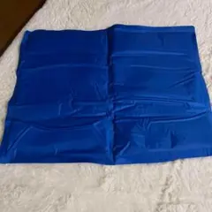 Item thumbnail for item 8a6bf875-5287-4b9c-82a0-a0d6167c0f73