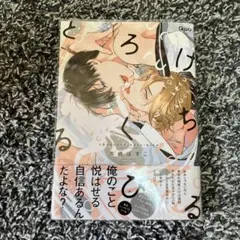 2026年最新】高崎ぼすこ とろけるくちびるの人気アイテム - メルカリ