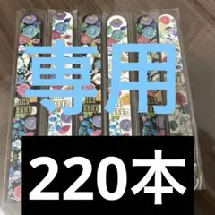 専用新品）ANNA SUI 爪やすり220本のサムネイル