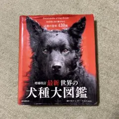 m15388214372_1.jpg?1755520001