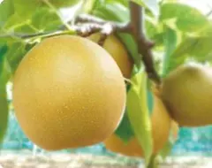 ツミ様 リクエスト 2点 まとめ商品