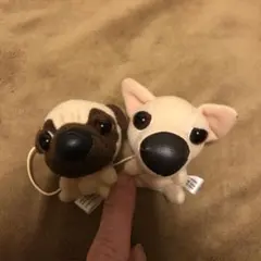 Item thumbnail for item f1541d88-0d5e-45f8-ae92-f7a2337e496a