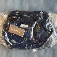 (新品レア柄)パタゴニア　バギーズショーツ　5インチ