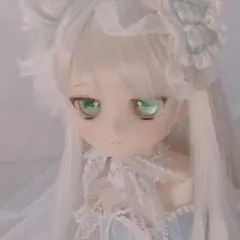 2026年最新】ddh 29の人気アイテム - メルカリ