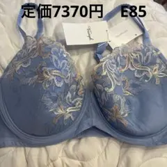 トリンプ　ストーリー　E85 ブラジャー　ブルー