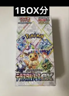 テラスタルフェス　バラ　24パック 20241203171916_2_1.jpg