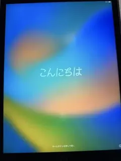 【値下げ可能】iPad Pro 12.9インチ 第1世代 Wi-Fiモデル