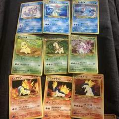 P*0様 旧裏　プレミアムファイル 9枚セット　プロモ　バクフーン　オーダイル等