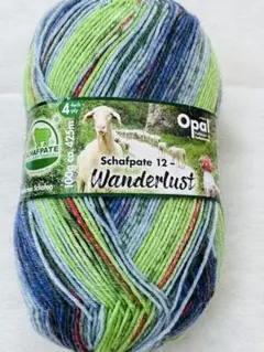 Opal毛糸 Schafpate 12 Wanderlust 100g