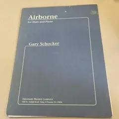 chiaki様 リクエスト 2点 まとめ商品