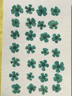 Ayame@Lady Jokers様 リクエスト 4点 まとめ商品