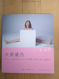 Item thumbnail for item 1b383467-f41a-4525-aed9-5109333936fa