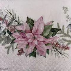 ꕤ︎︎·͜· Xmasカクテル53・ 4枚セットペーパーナプキン