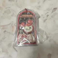 TWICE トゥワイス チェンブリー グッズ まとめ売り セット チェヨン TWICE チェヨン チェンブリー グッズ まとめ売り キーホルダー