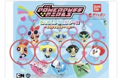 パワーパフガールズ めじるしアクセサリー2 Bセット＋電話