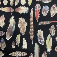 no.535 羽　羽根　黒地　コットンこばやし　50cm