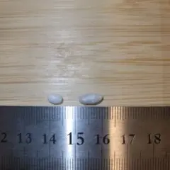 2025年最新】スキャロップパールの人気アイテム - メルカリ