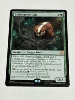 アナグマモグラの仔　Badgermole Cub アバター 伝説の少年アン