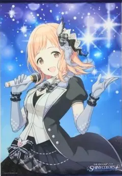 2025年最新】アイドルマスター シャイニーカラーズ B2タペストリーの
