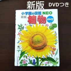 Item thumbnail for item e4e8521b-97b2-485a-9ccb-6151457852ee