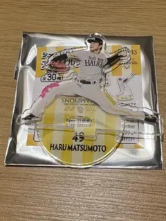 値下げしました！福岡ソフトバンクホークス　シークレットアクリルスタンド