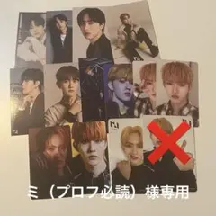 ミ（プロフ必読）様専用①