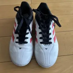 Item thumbnail for item 43bdc4ea-1608-4d43-bfcc-d95777327414