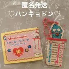 サンリオ　ガチャ　チャーミングコーム　アクリルチャーム　⭐︎ハンギョドン⭐︎