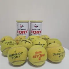 Item thumbnail for item dfa06a29-1d8f-4b8d-9ac8-934c0a88d00f