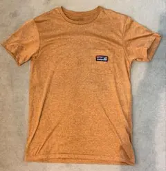 Patagonia ポケットTシャツ スリムフィット Sサイズ