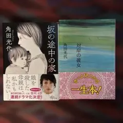角田光代 文庫本2冊セット 「坂の途中の家」「対岸の彼女」