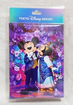 東京ディズニーリゾート イマジニングザマジック ミラー
