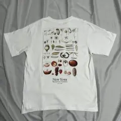 NEW YORK BOTANICAL GARDEN/バックプリント/Tシャツ/L