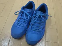 ちろさん専用　Mizuno 青 ランニングシューズのサムネイル