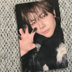ベルーナ &TEAM NICHOLAS ニコラス