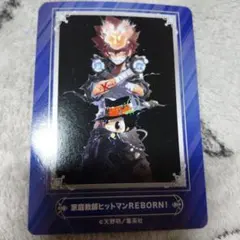 激レア　リボーンTCG 1弾　UR SR 綱吉 激レア リボーンTCG 1弾 UR SR 綱吉 - メルカリ