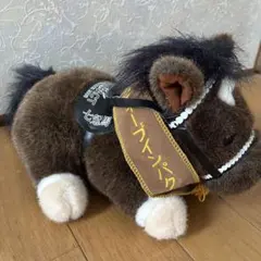 アイドルホース❣️ドレス❣️マント❣️タキシード❣️ - メルカリ