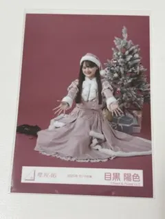 櫻坂46 勝又春 2025年サンタ衣装 座り - メルカリ