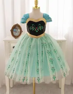 アナ雪　コスチューム　5歳