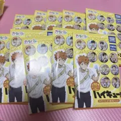 カラパレ　ハイキュー！！　より道缶バッジ　10個セット