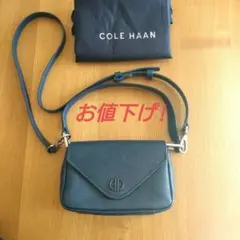 お値下げしました! コール・ハーンミニバッグ(ネイビー）