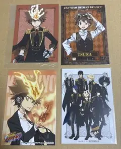家庭教師ヒットマンREBORN リボーン 沢田綱吉 ポストカード カラ鉄