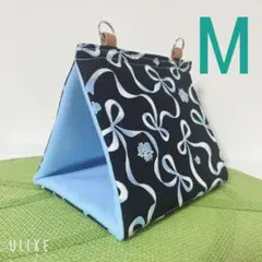 Item thumbnail for item 2434054f-f787-4ca3-92c3-b82854d0c506