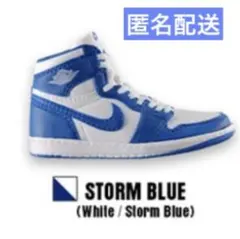 NIKE Air Jordan ミニチュア ガチャ STORM BLUE