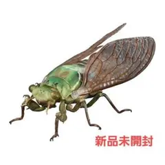 いきもの大図鑑アドバンス セミ01 ミカドミンミン 新品 미개봉