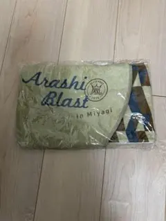 りつと様 リクエスト 2点 まとめ商品