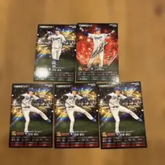 カルビー プロ野球チップスカード 5枚セット 中日ドラゴンズ