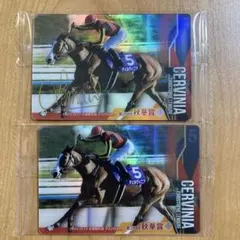 サラブレッドホースコレクション　ウエハース　第3R チェルヴィニア　サイン入り