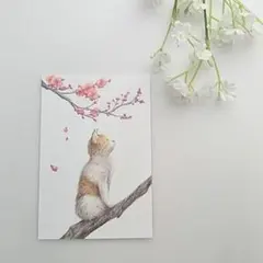 色鉛筆画 原画 1点物 猫 桜 イラスト ハガキサイズ