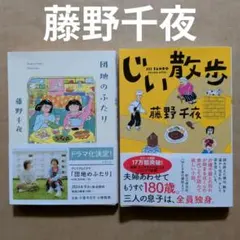 団地のふたり　じい散歩　藤野千夜